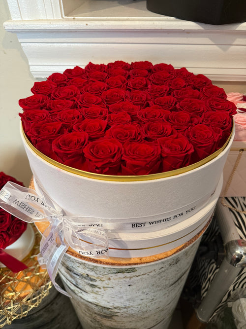 Jumbo Box of 47 preserved roses
