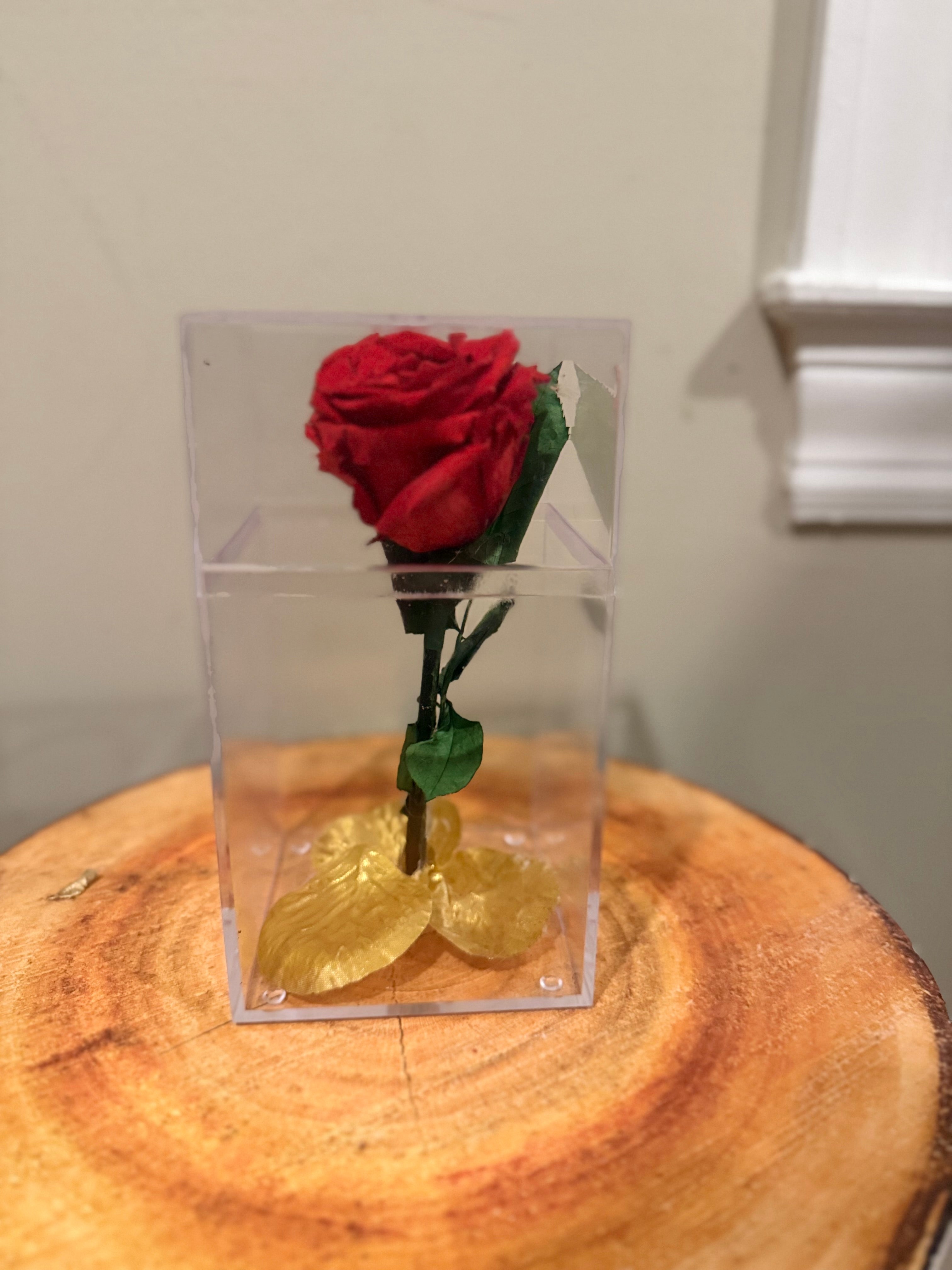 Single preserved rose